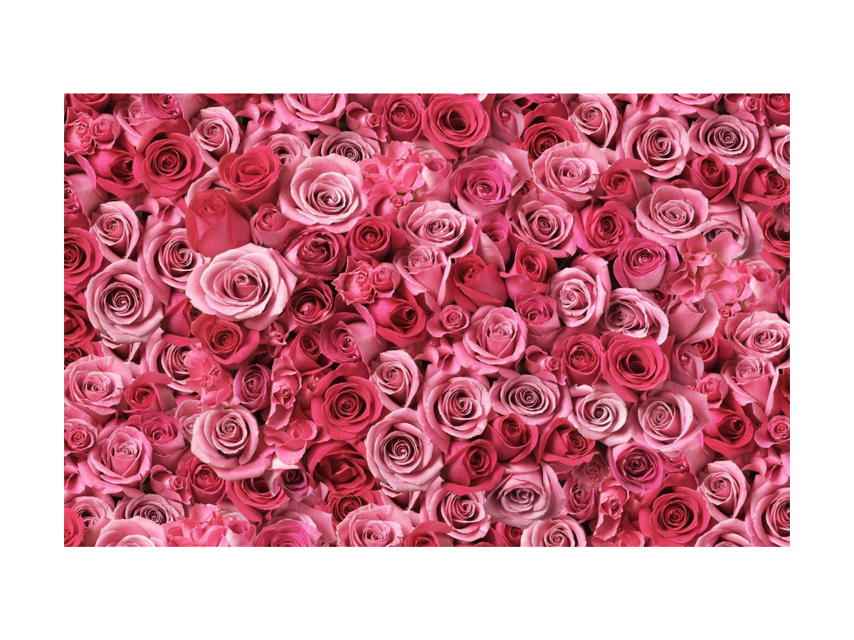 .BOX ROSE Macarons BOX 6 / 12 / 24 / 35 pcs.