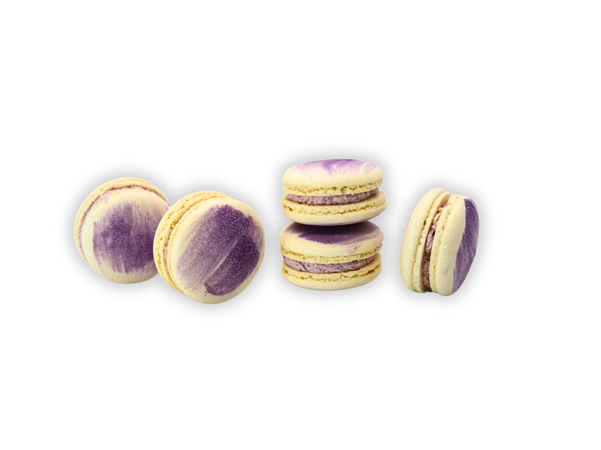 Vegan Macaron Blueberry