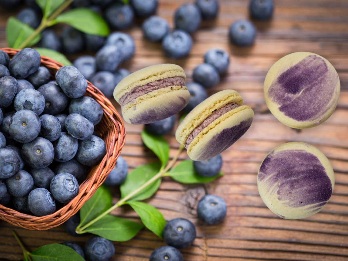 Vegan Macaron Blueberry