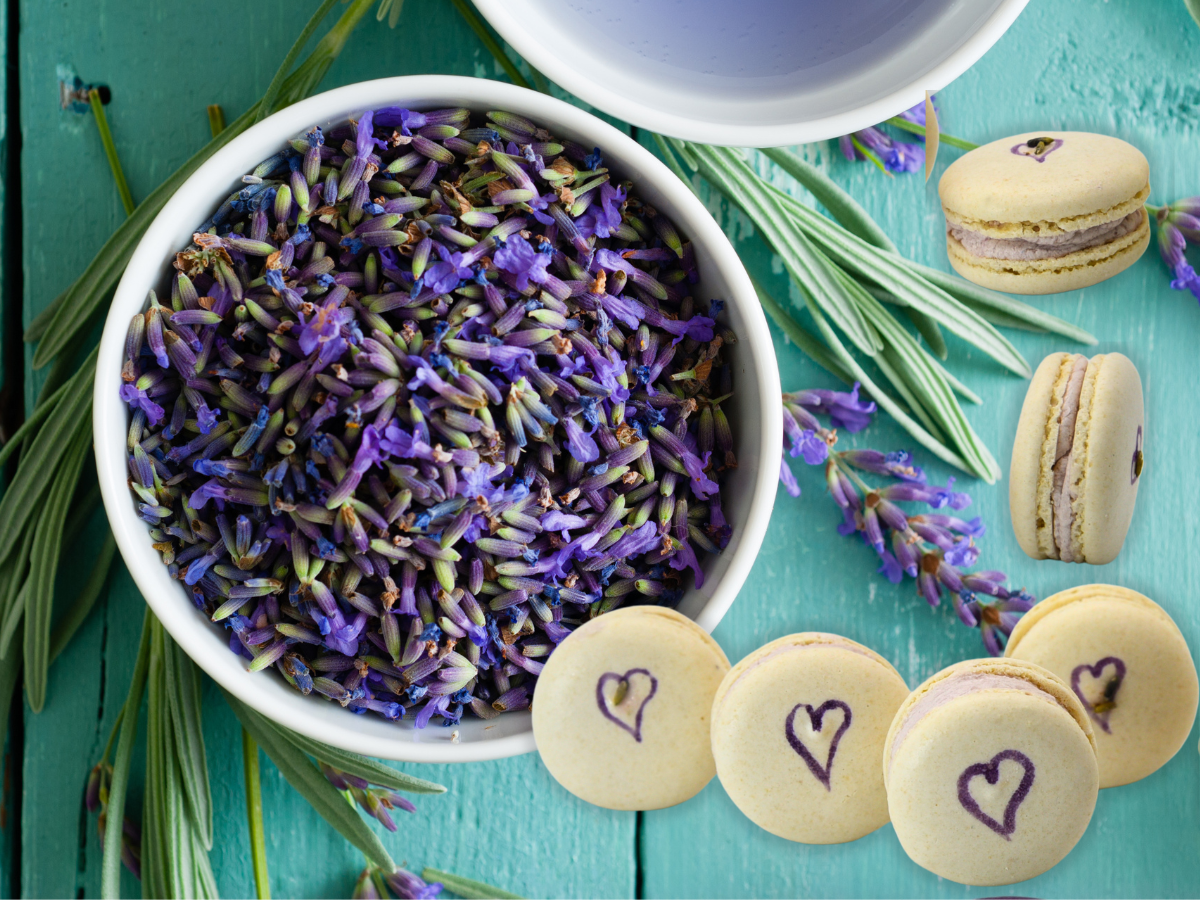 Vegan Lavender Macaron