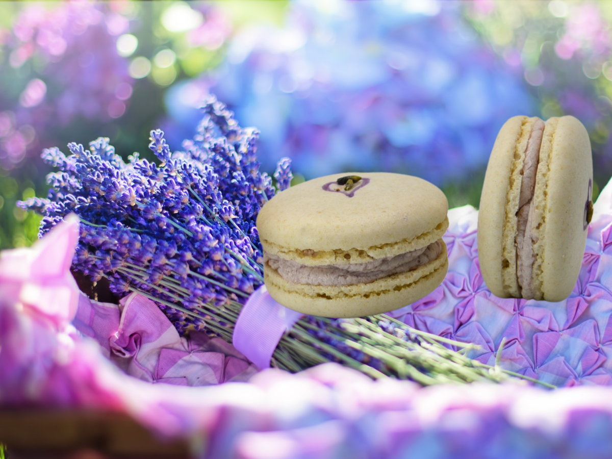 Vegan Lavender Macaron