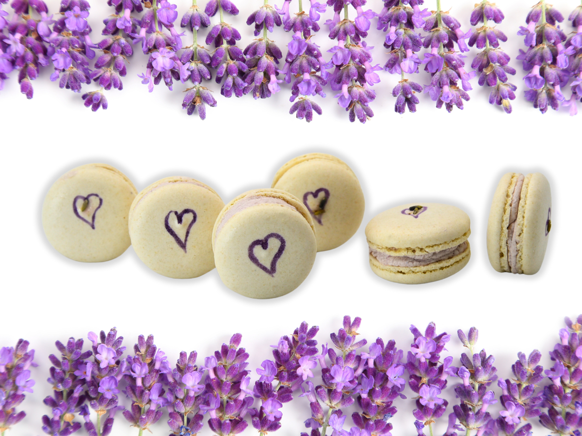 Vegan Lavender Macaron