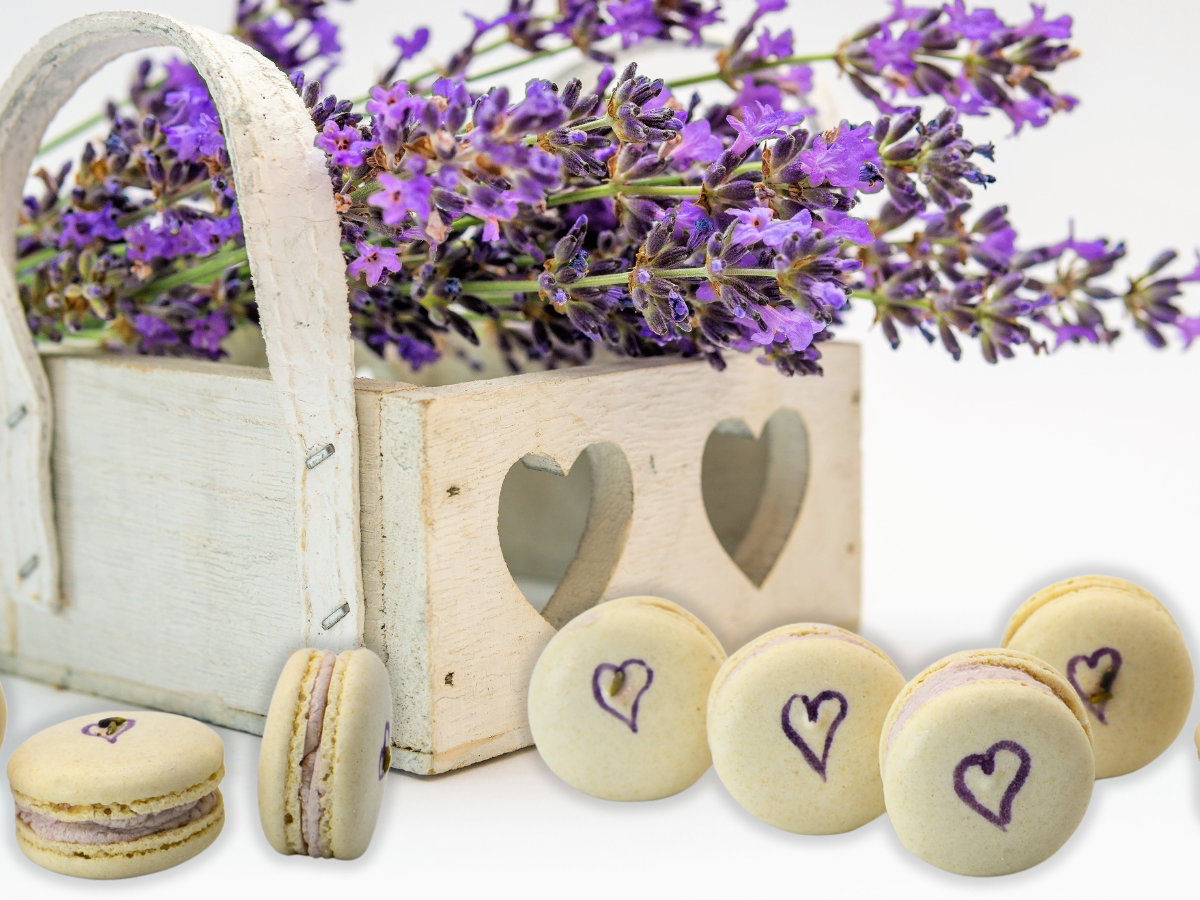 Vegan Lavender Macaron