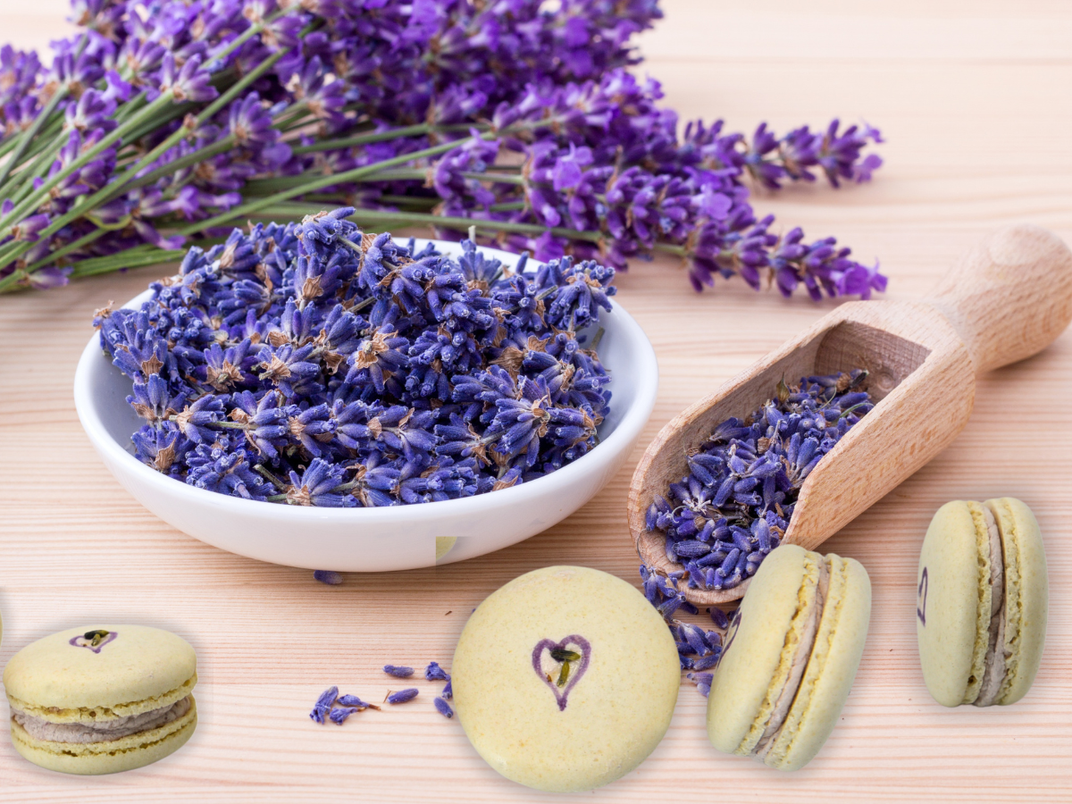 Vegan Lavender Macaron