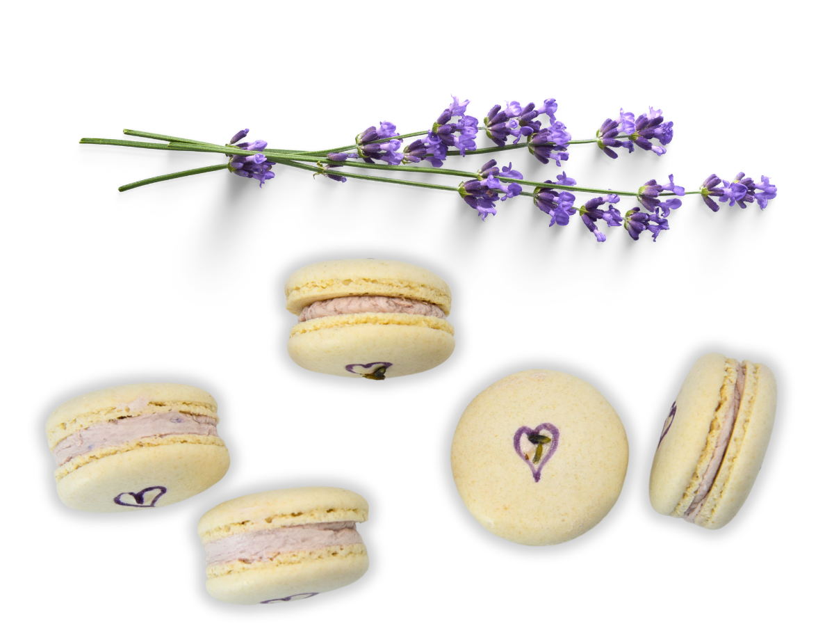 Vegan Lavender Macaron