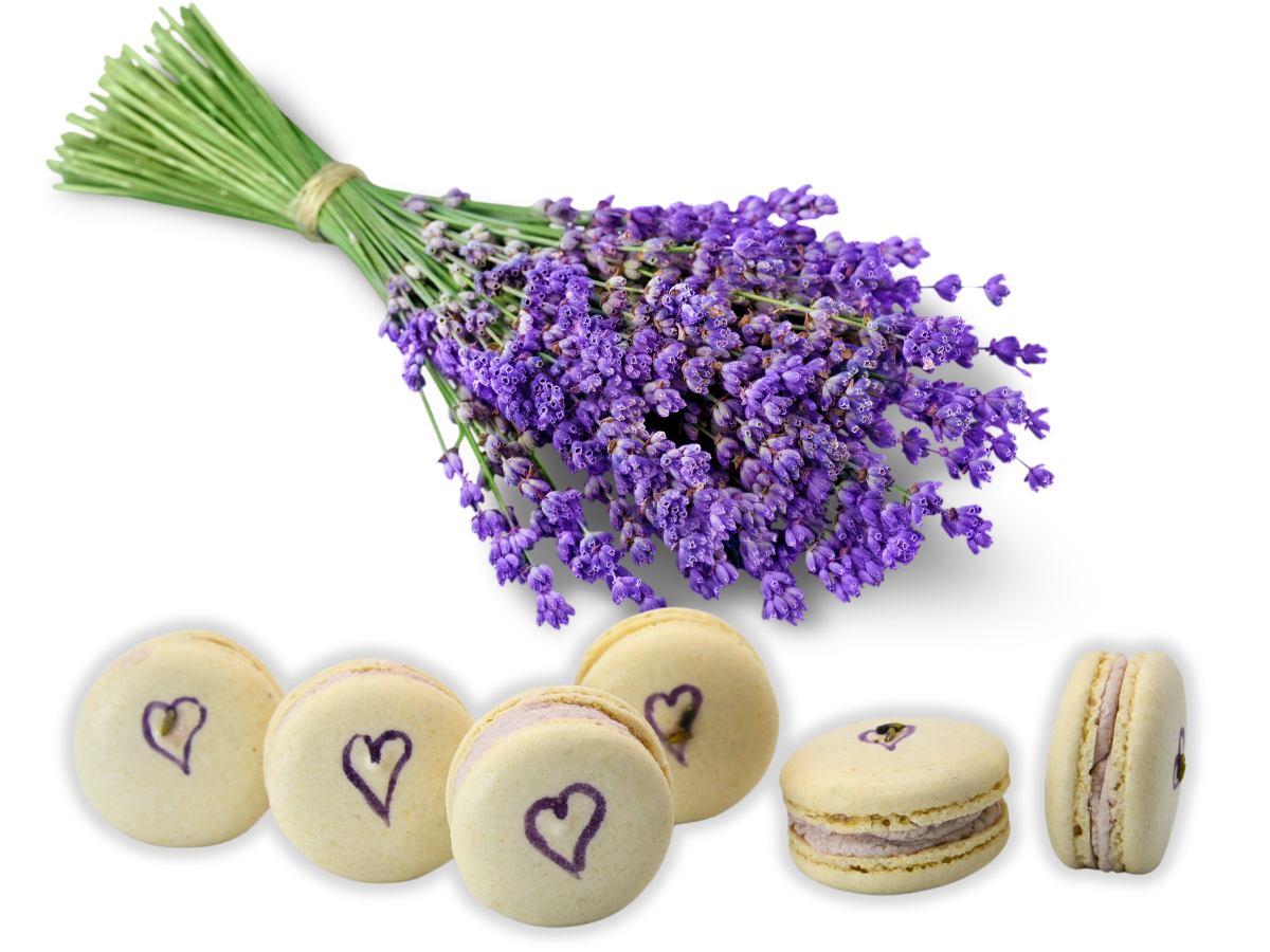 Vegan Lavender Macaron