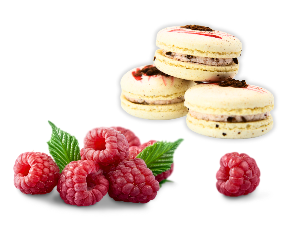 Vegan Raspberry Macaron