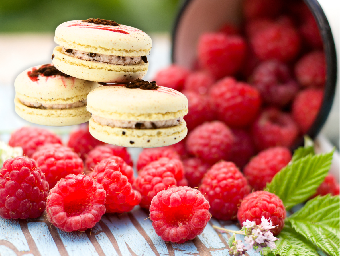 Vegan Raspberry Macaron