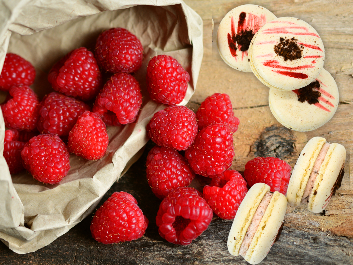 Vegan Raspberry Macaron