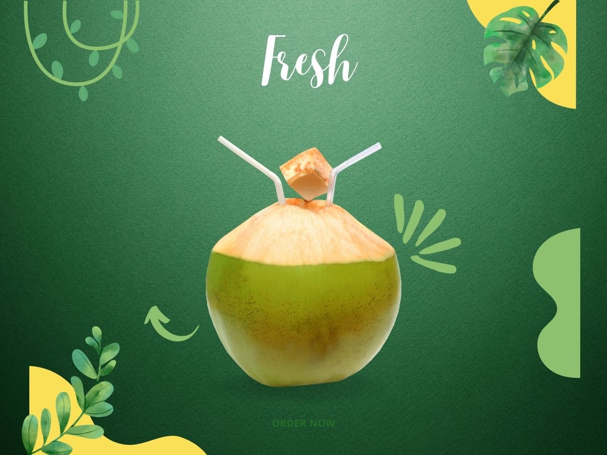 Macaron Caribbean Coconut