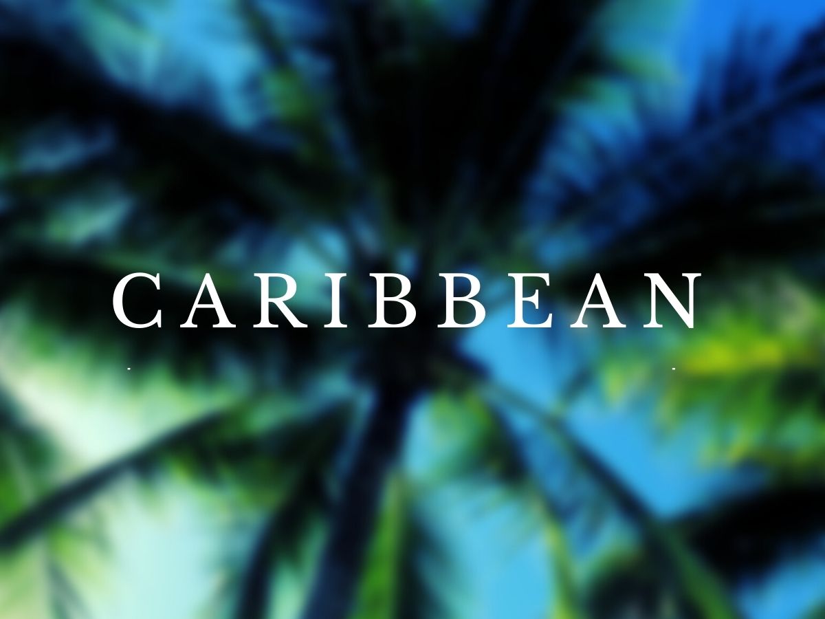 Macaron Caribbean Coconut