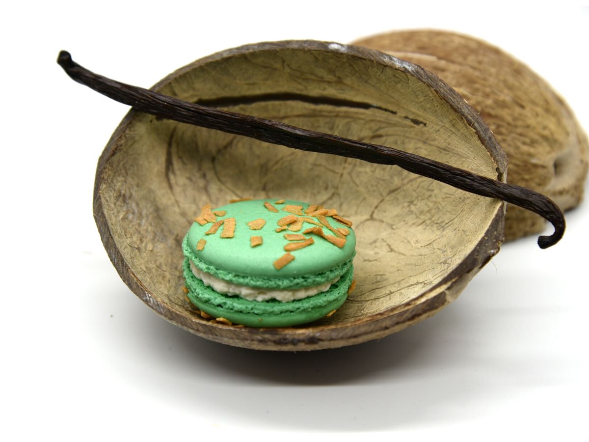 Macaron Caribbean Coconut