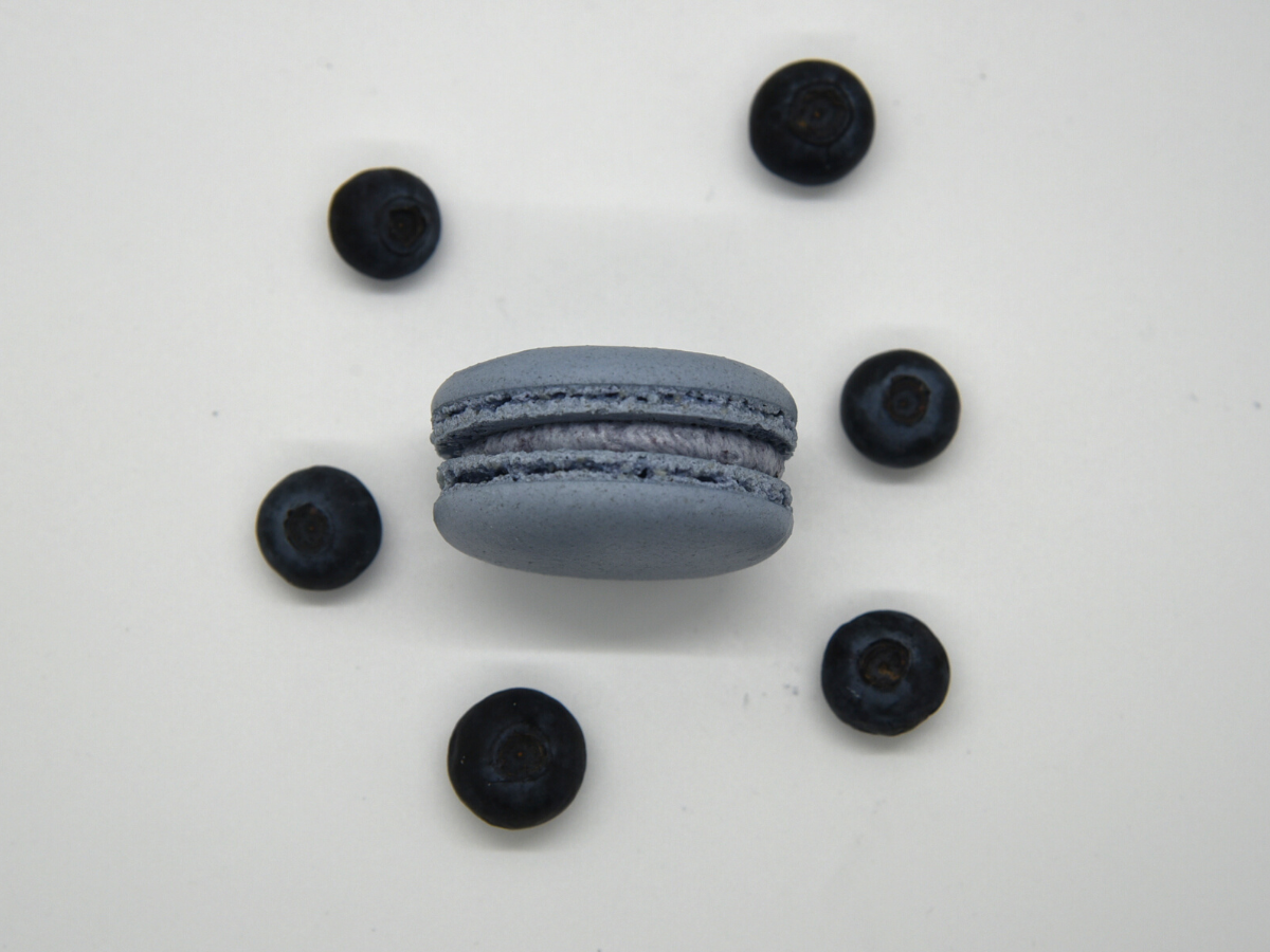 Macaron Blueberry