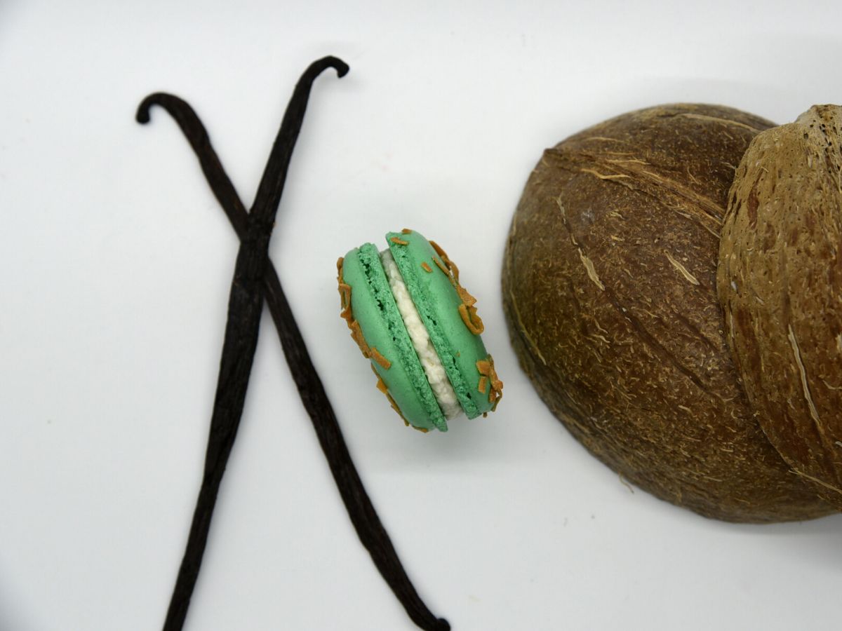 Macaron Caribbean Coconut