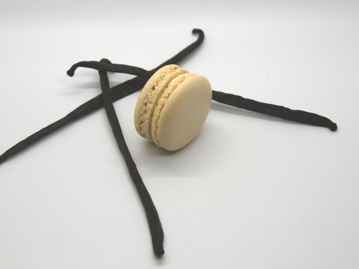 Macaron Vanilla Bean