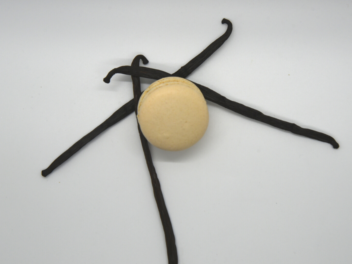 Macaron Vanilla Bean
