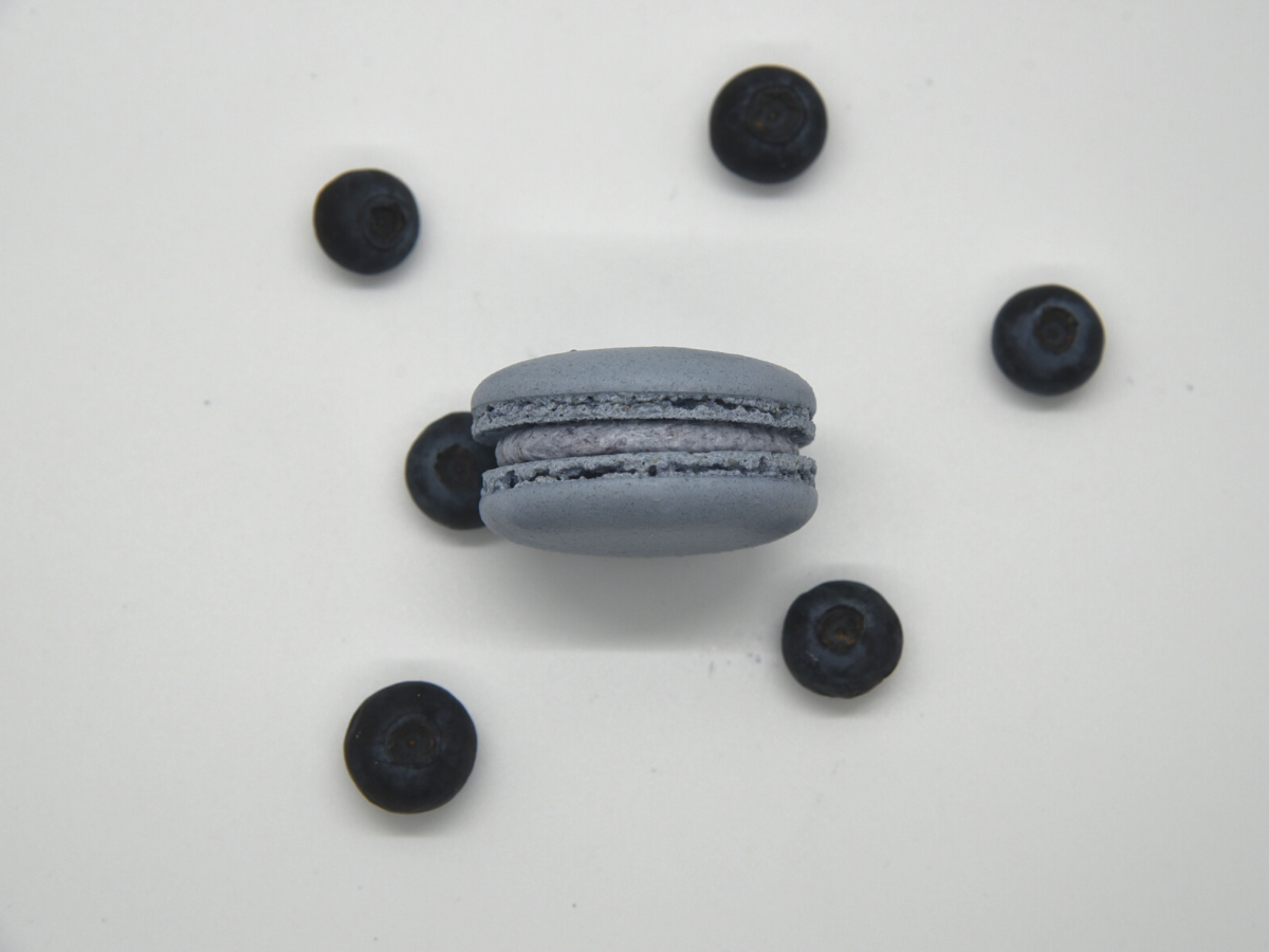Macaron Blueberry