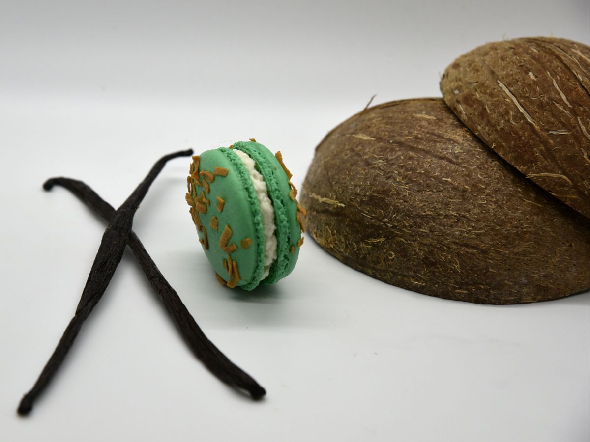 Macaron Caribbean Coconut