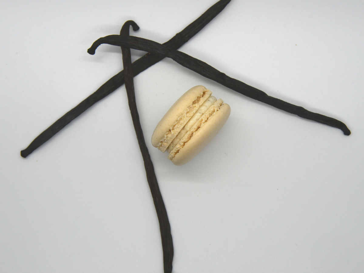 Macaron Vanilla Bean