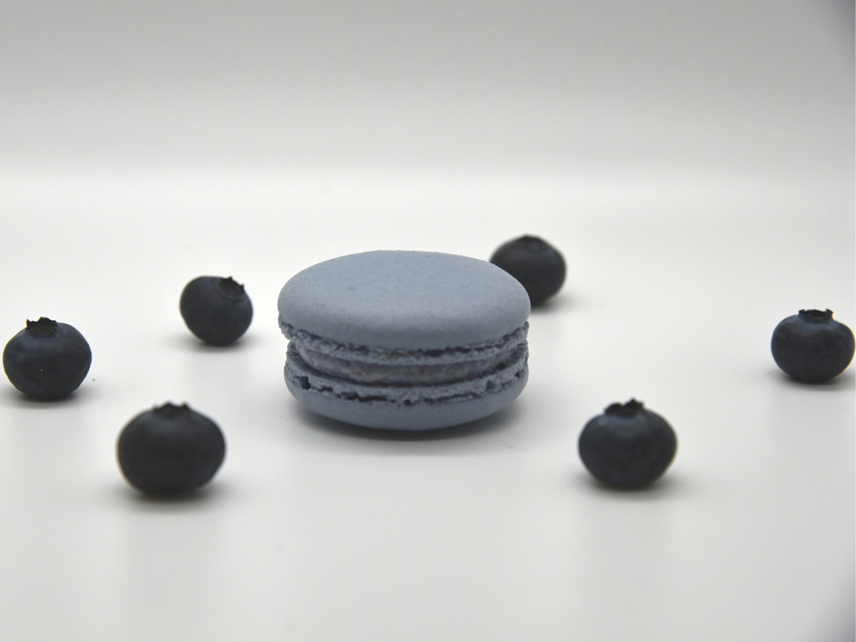 Macaron Blueberry