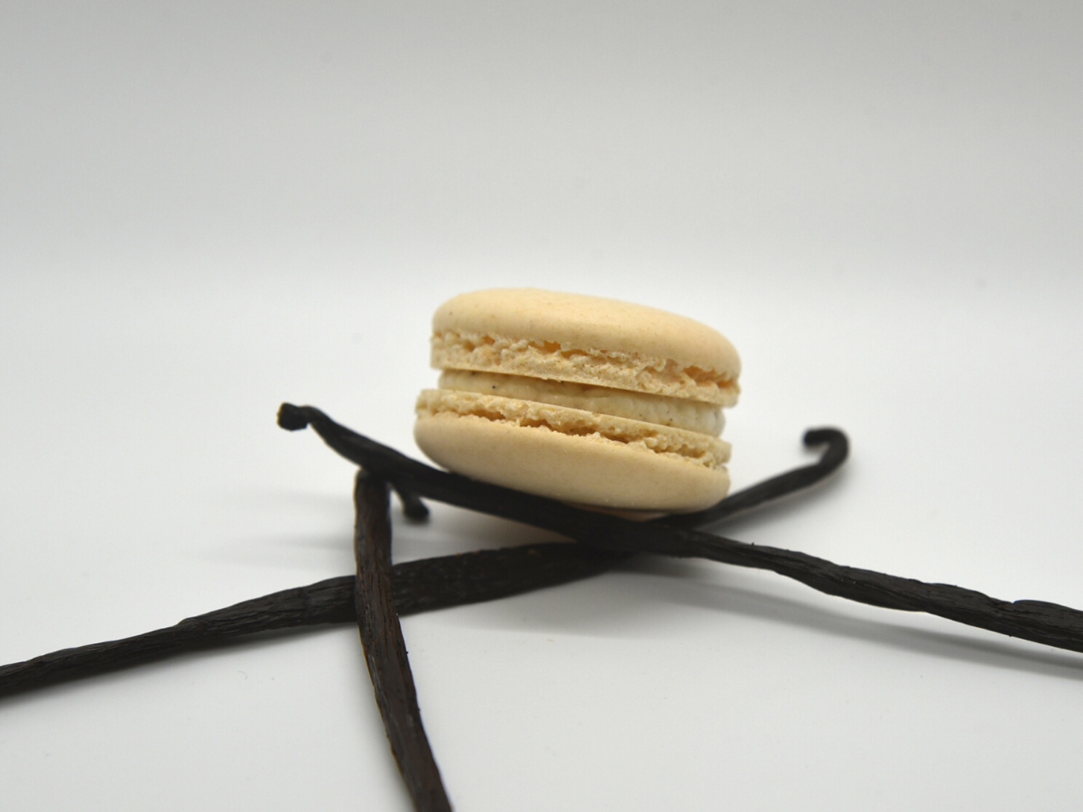 Macaron Vanilla Bean