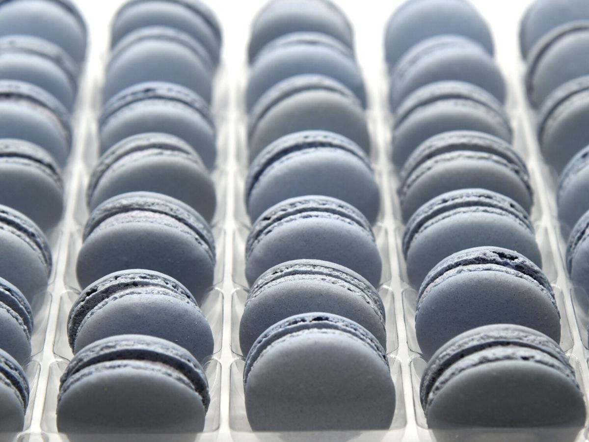 Macaron Blueberry
