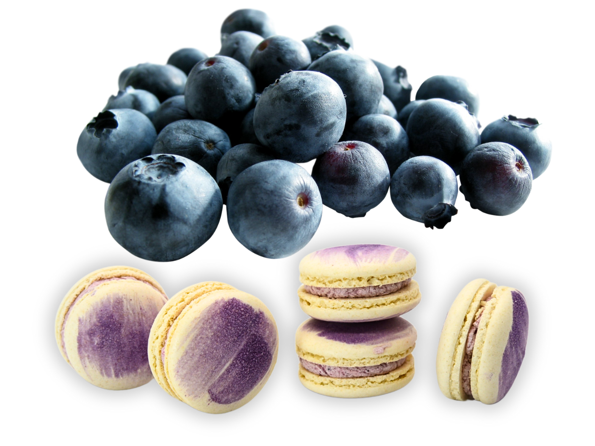 Vegan Macaron Blueberry