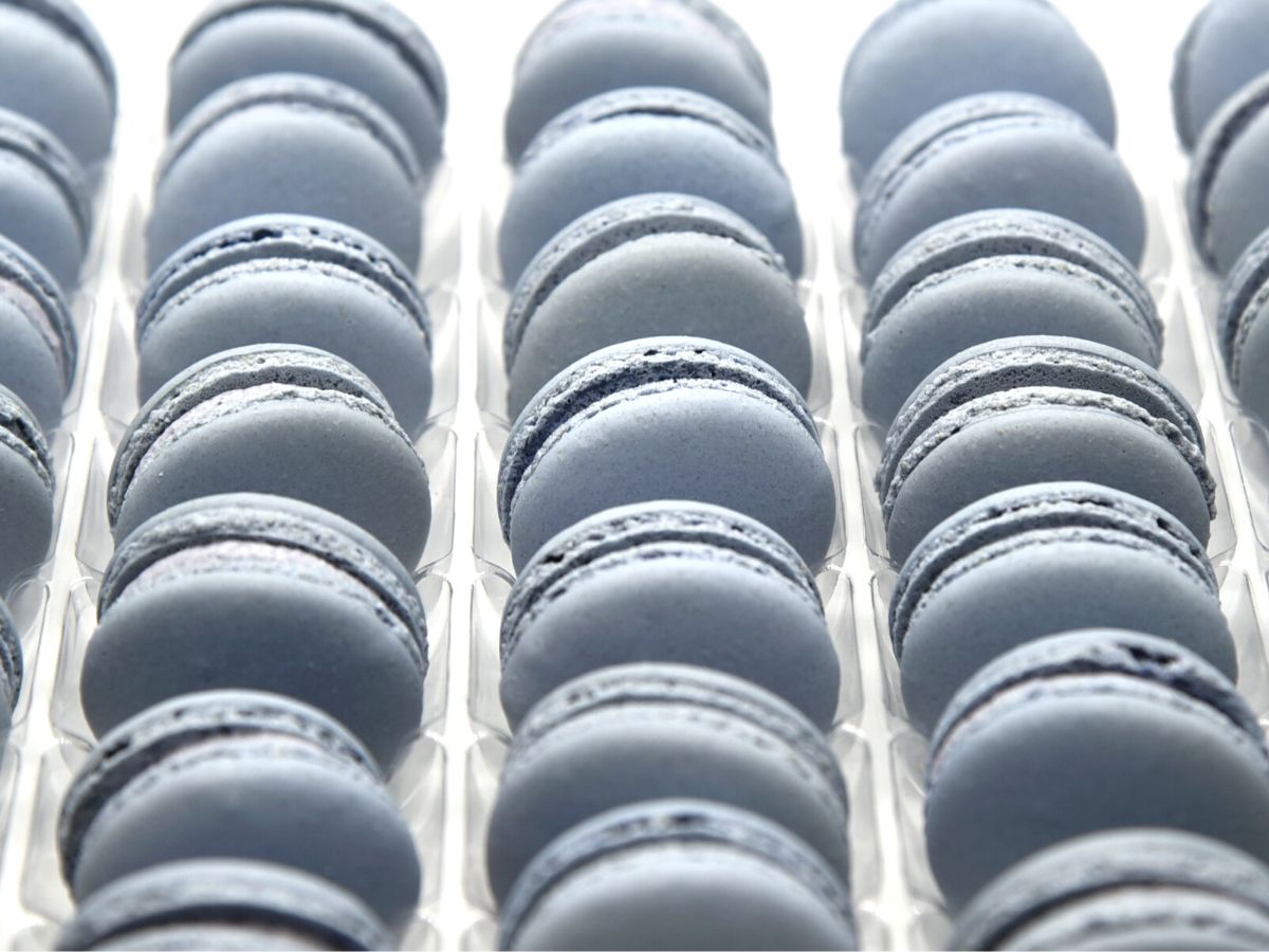 Macaron Blueberry