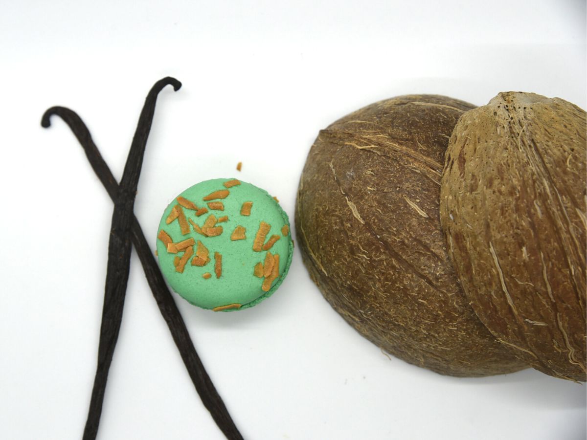 Macaron Caribbean Coconut